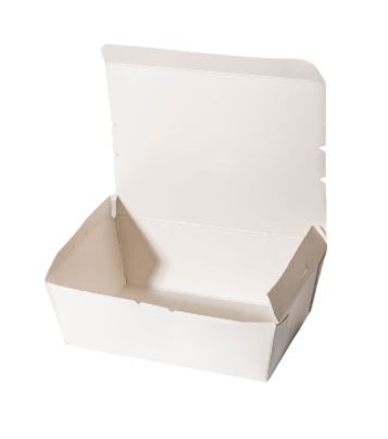 SMALL LUNCH BOX (WHITE)